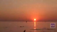 перспектива - ш-073451.webm