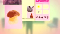 17540758225590.mp4