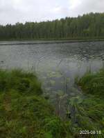 IMG20250818174909.jpg