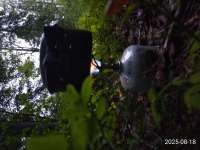 IMG20250818195042.jpg