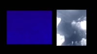 1753947561123874.webm
