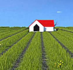 IMG7856.jpeg