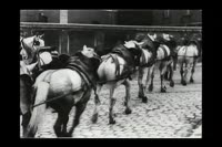 7489043890489.mp4