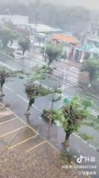 3d2d92e670.mp4