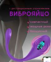 IMG20250828002146.jpg
