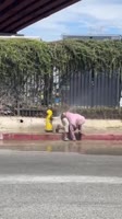 thisoneco1.mp4