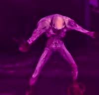 17533357814543.webm
